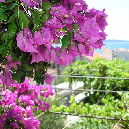 Cozy New Flat For 2 Or 3 Apartment Hvar Town Exterior photo