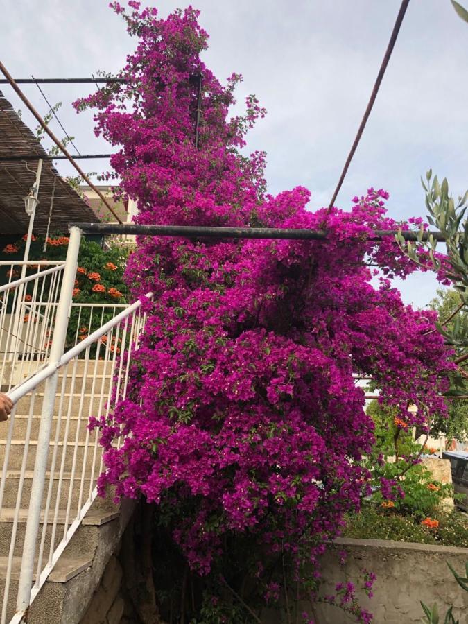 Apartment Cozy New Flat For 2 Or 3 Hvar Town